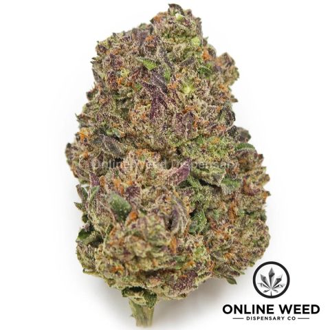 Velvet Purps (Value Bud) 🔥