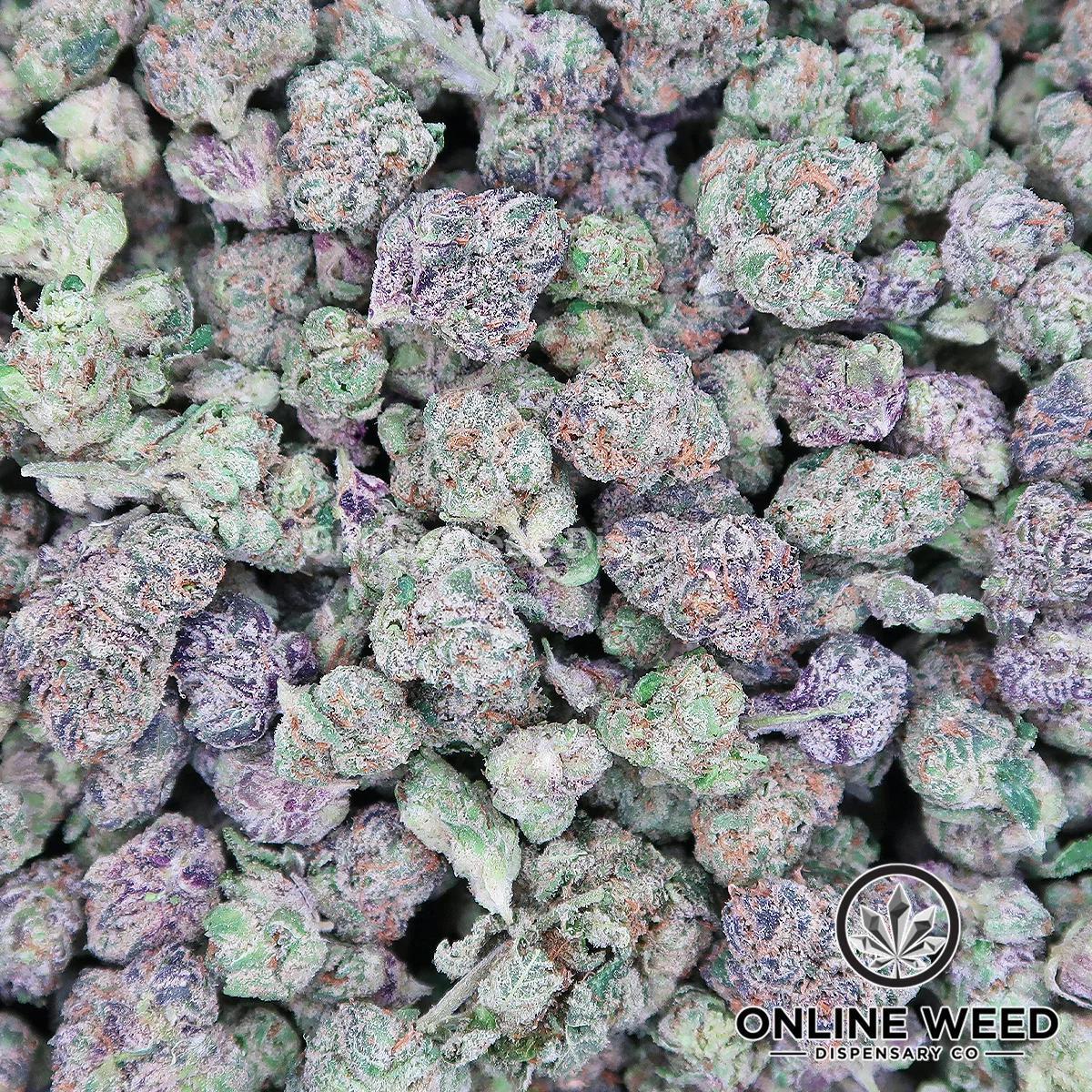 Greasy Runtz (Premium Small Buds) 🔥 Ounce Deal 🔥