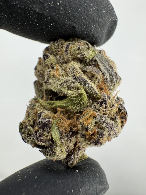 Blueberry 27.9% THCA