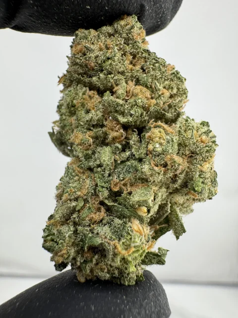 Blue Dream 27.3% THCA