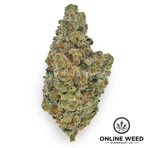 Biscotti Gelato (Premium Bud)