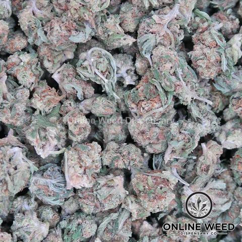 Blue Dream (Small Buds) Ounce Deal