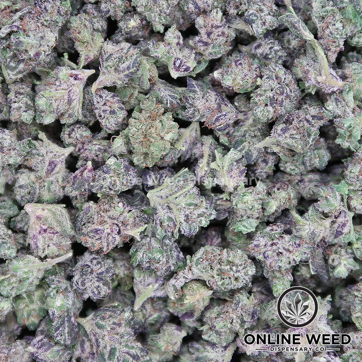 Granddaddy Purple (Small Buds) Ounce Deal