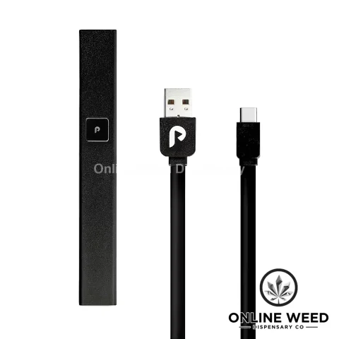 PlugPlay Battery – Black