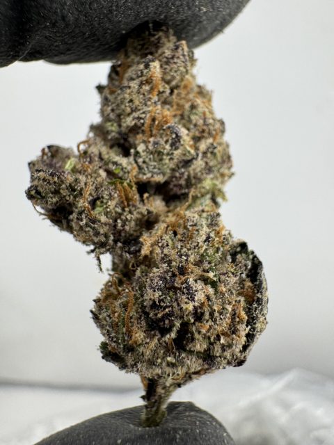 Gelonade 27.5% THCA