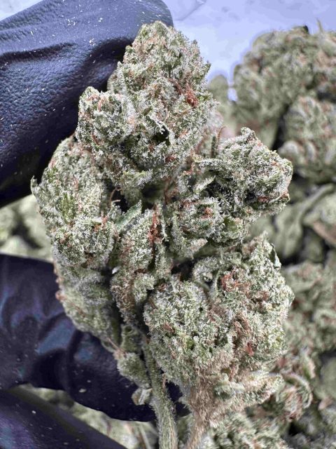 Gorilla Glue 28.9% THCA